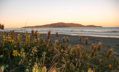 Top Things To Do In Paraparaumu